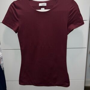 Aritzia Contour Short Sleeve Tee
